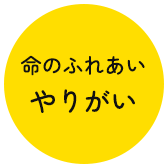 命のふれあい やりがい